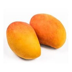 Mango Edward
